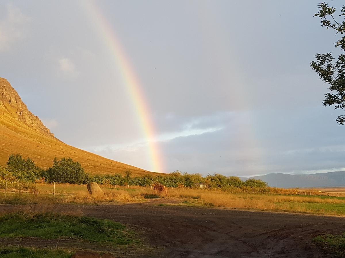 Mithjanes Reykholahrepp Guest House Reykholar Ngoại thất bức ảnh